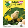 Baby Farm Animals Booklet With Activities for Kids ages 4-8