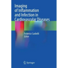 Imaging of Inflammation and Infection in Cardiovascular Diseases