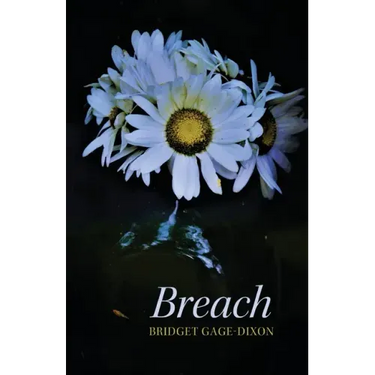 Breach