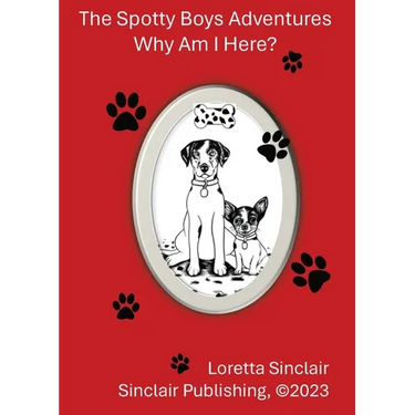 The Spotty Boys Adventures: Why Am I Here?