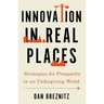 Innovation in Real Places: Strategies for Prosperity in an Unforgiving World