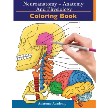Neuroanatomy + Anatomy and Physiology Coloring Book: 2-in-1 Collection Set Incredibly Detailed Self-Test Color workbook for Studying and Relaxation