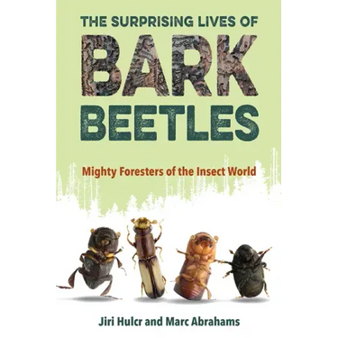The Surprising Lives of Bark Beetles: Mighty Foresters of the Insect World