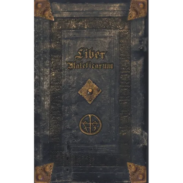 Liber Maleficarum: The mysterious diary of an unknown witch