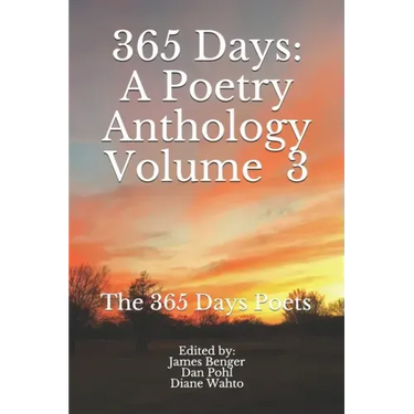 365 Days: Volume 3