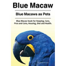 Blue Macaw. Blue Macaws as Pets. Blue Macaw book for Keeping, Pros and Cons, Care, Housing, Diet and Health.
