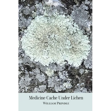 Medicine Cache Under Lichen