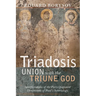 Triadosis: Union with the Triune God: Interpretations of the Participationist Dimensions of Paul's Soteriology
