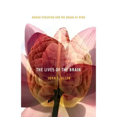 The Lives of the Brain: Human Evolution and the Organ of Mind