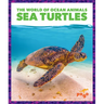 Sea Turtles
