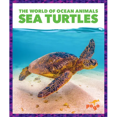 Sea Turtles