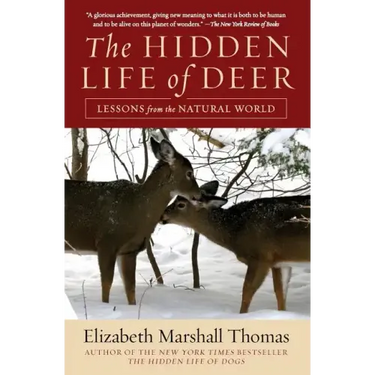 The Hidden Life of Deer: Lessons from the Natural World