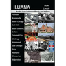 Illiana: The Border Area Between Illinois and Indiana