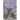 In the Time of the Jacarandas
