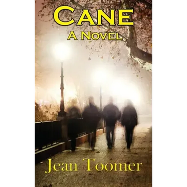 Cane A Novel