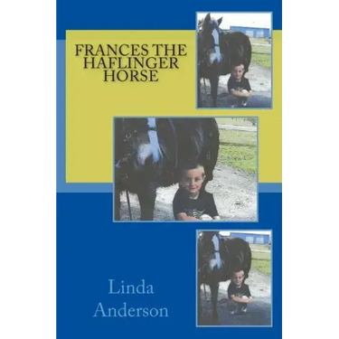 Frances the Haflinger horse