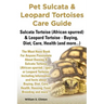 Pet Sulcata & Leopard Tortoises Care Guide Sulcata Tortoise (African Spurred) & Leopard Tortoise - Buying, Diet, Care, Health (and More...)