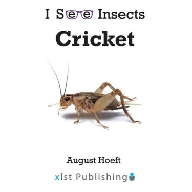 Cricket
