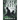 Black Ghost