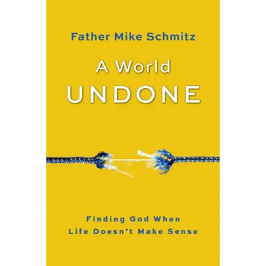 A World Undone: Finding God When Life Doesn't Make Sense