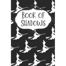 Flying Witch Book of Shadows: A Witchy Grimoire