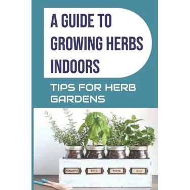 A Guide to Growing Herbs Indoors: Tips For Herb Gardens: How To Grow Herbs