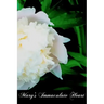 Mary's Immaculate Heart