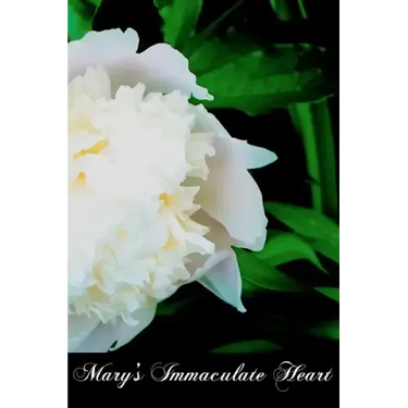 Mary's Immaculate Heart