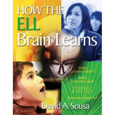 How the Ell Brain Learns