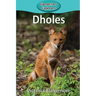 Dholes