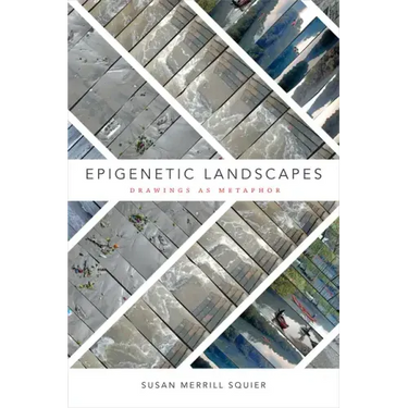 Epigenetic Landscapes: Drawings as Metaphor