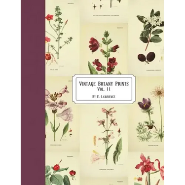 Vintage Botany Prints: Vol. 11
