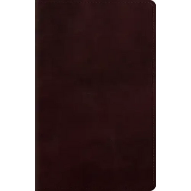 Large Print Personal Size Bible-ESV