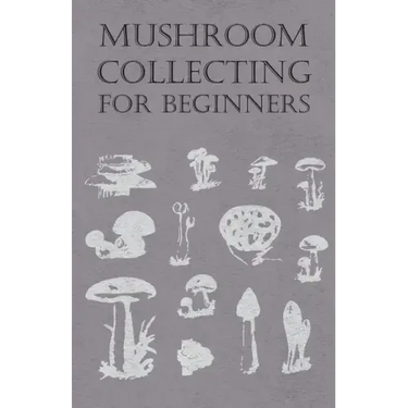 Mushroom Collecting for Beginners