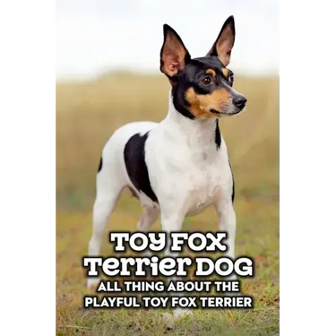 Toy Fox Terrier Dog: All Thing about The Playful Toy Fox Terrier: Toy Fox Terrier Dog Breed Complete Guide