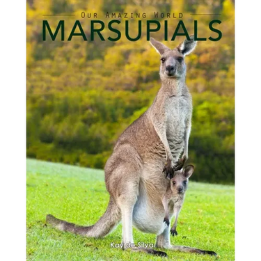 Marsupials: Amazing Pictures & Fun Facts of Animals in Nature