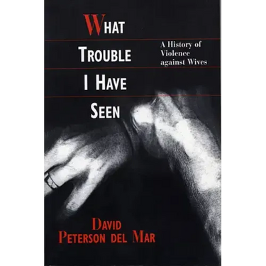 What Trouble I Have Seen: A History of Violence Against Wives