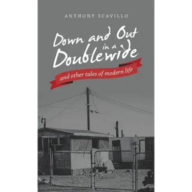 Down and out in a Doublewide and Other Tales of Modern Life