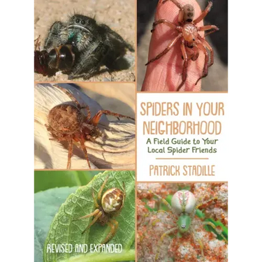 Spiders in Your Neighborhood: A Field Guide to Your Local Spider Friends, Revised and Expanded