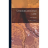 Underground Life: Or, Mines and Miners