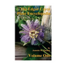 The Edgar Cayce Plant Encyclopedia by Jeanette M Thomas