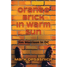 Orange Brick in Warm Sun