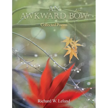 An Awkward Bow: Poems