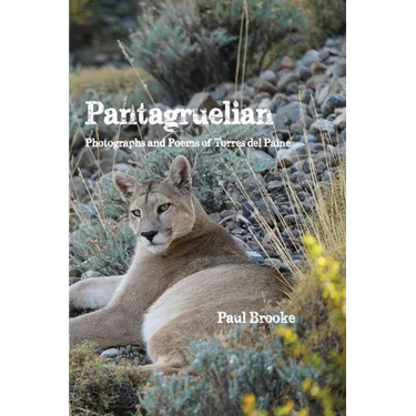 Pantagruelian: Photographs and Poems of Torres del Paine