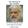 The Meaning of the Universe: Your Life Has Meaning. But Do You Know What and Why?