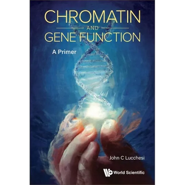 Chromatin and Gene Function: A Primer