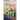 The Exiles in Love