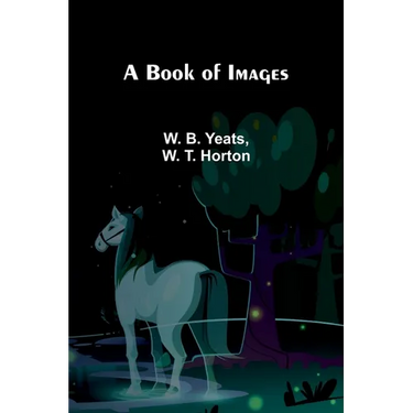 A Book Of Images