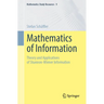Mathematics of Information: Theory and Applications of Shannon-Wiener Information