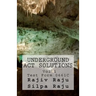 Underground ACT Solutions Vol 1-Test Form 0661C: The unofficial solutions to the official ACT practice test form 0661C
